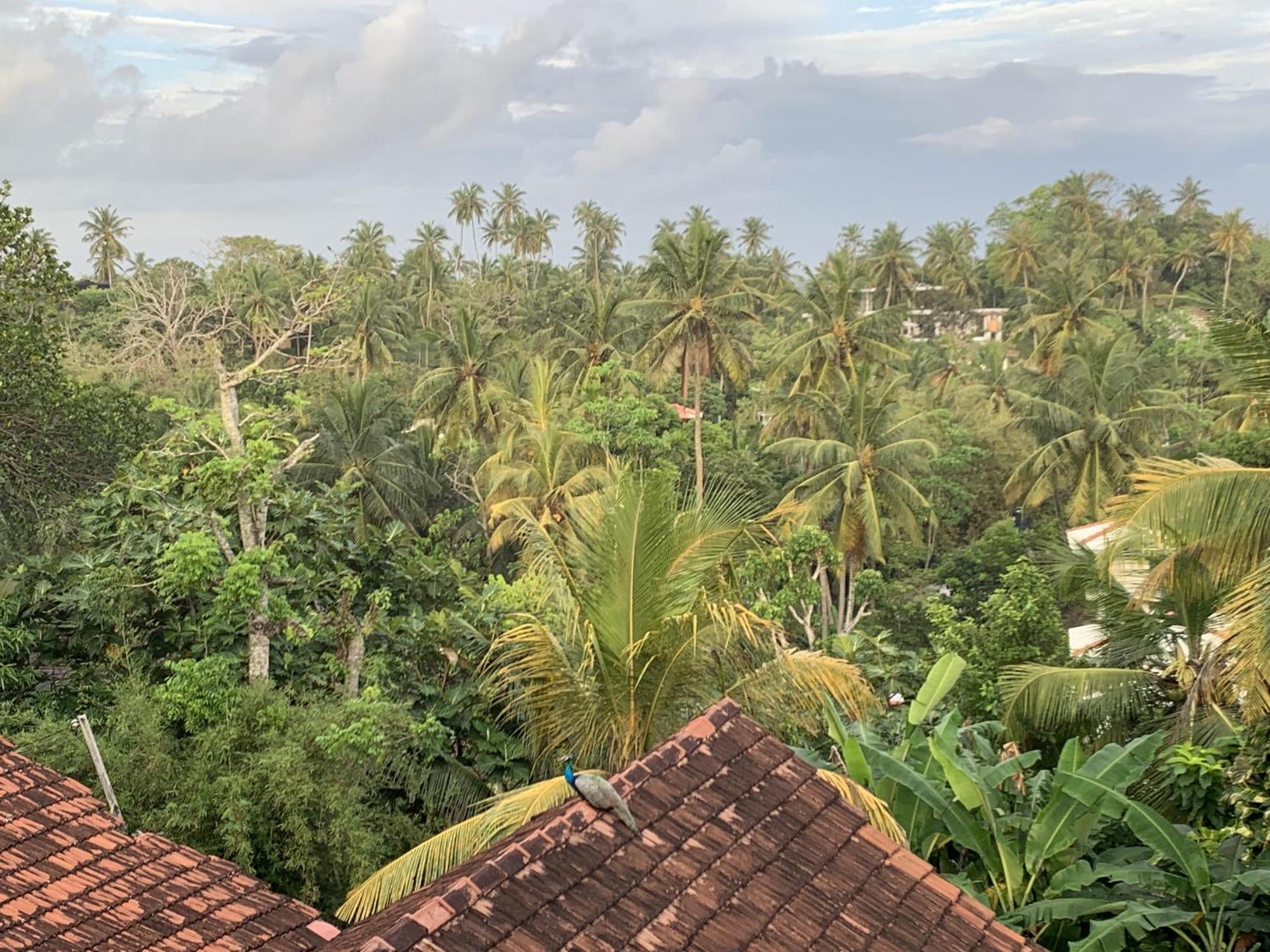 Arcadia Ocean View Apartment Unawatuna Exterior photo